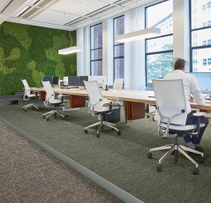 Tessera Nexus 3507 Share фото 2 | FLOORDEALER